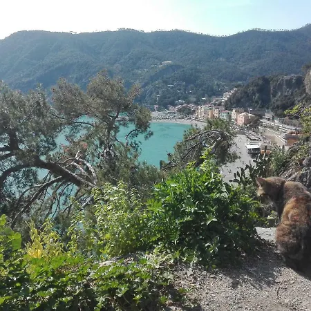 Il Sogno Apartamento Monterosso al Mare