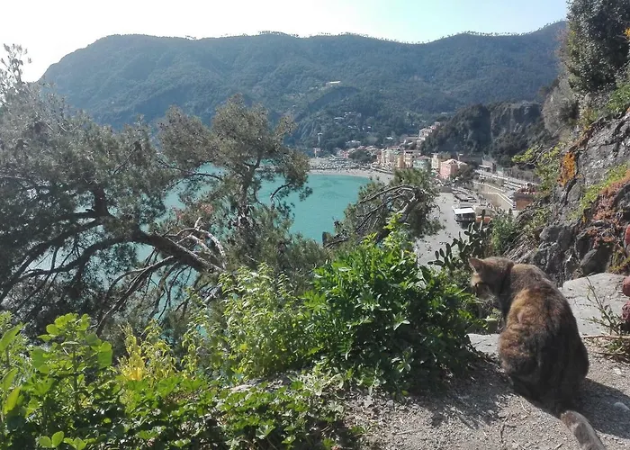 Il Sogno Apartment Monterosso al Mare
